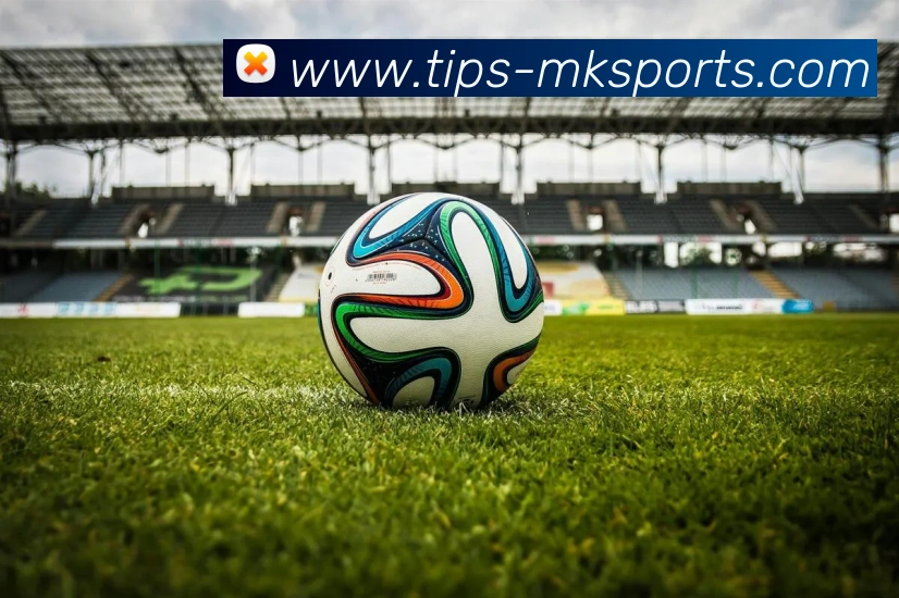 MK体育平台生态图