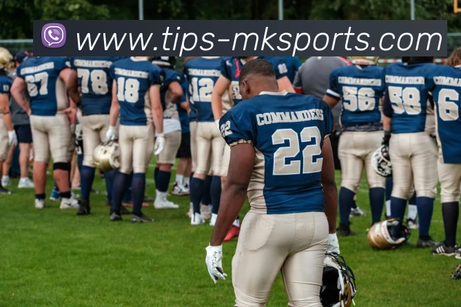 MK体育APP 封面图